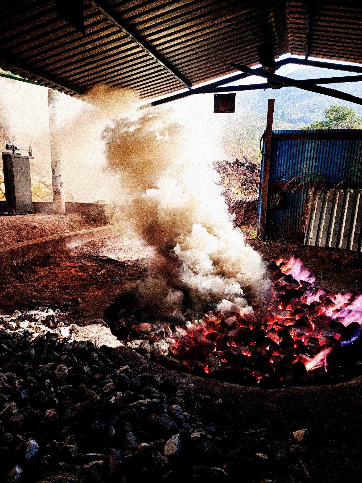 Proceso de producción del mezcal